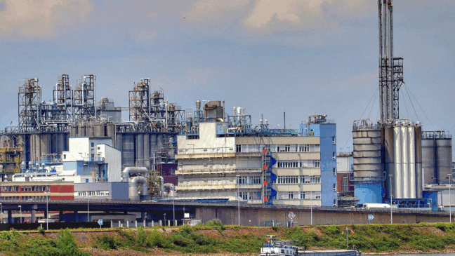 Foto: Reprodução Pixabay