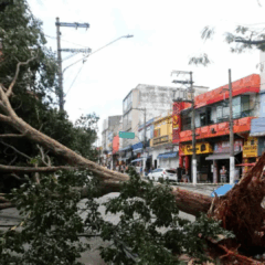 Foto: Reprodução Fábio Vieira/FotoRua/Estadão