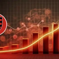 Flamengo / Divulga&ccedil;&atilde;o