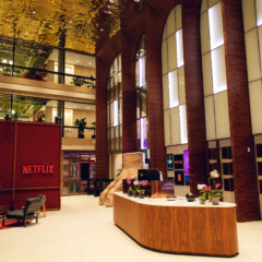 Netflix escrit&oacute;rio