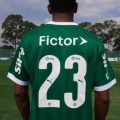 Fictor &eacute; patrocinadora &ldquo;master&rdquo; da categoria de base do Palmeiras / Foto: Divulga&ccedil;&atilde;o/Palmeiras
