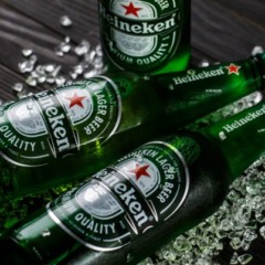 Imagem: Shutterstock
