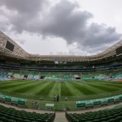Gramado artificial do Allianz Parque &mdash; Foto: Palmeiras