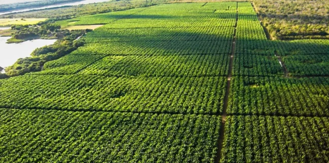 Divulgação/Codevasf