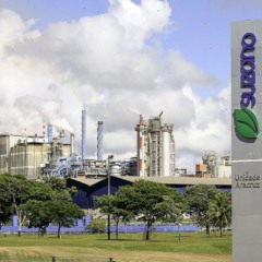 Divulga&ccedil;&atilde;o